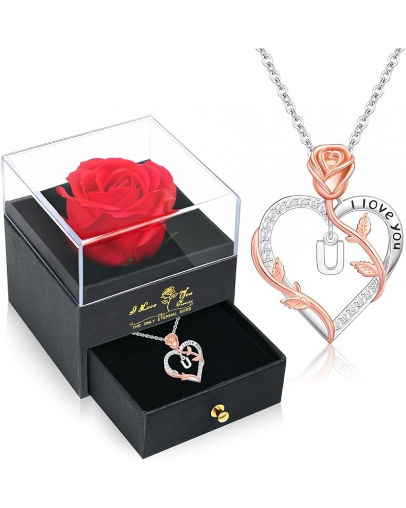 Romantic Gifts ??????? ???????? ??? ????? Rose Heart Pendant Necklace with Rose Gift Box, Mothers Day Christmas Anniversary B...