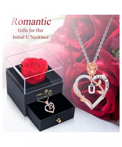 Romantic Gifts ??????? ???????? ??? ????? Rose Heart Pendant Necklace with Rose Gift Box, Mothers Day Christmas Anniversary B...