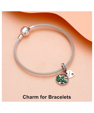 Happy Birthday with Love Charm for 925 Sterling Silver for Women's Bracelets & Necklaces Dangle Pendant for Christmas Day Val...