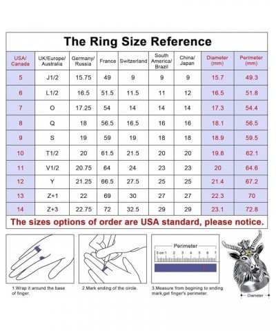 Satanic Jewelry Baphomet Goat Rings Sigil of Lucifer Satan Symbol Signet Ring for Men Woman Size 7/8/9/10/11/12/13/14 Persona...