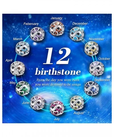 925 Sterling Silver Birthstone Charm Beads Fit for Bracelet and Necklaces, Birthday Gifts for Women Girls. January Birthstone...