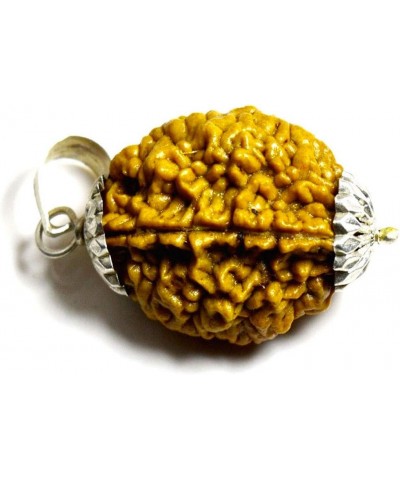 Choose Your Original Lab Certified Nepali Rudraksha 1 to 13 Mukhi Ganesha Gauri Shankar 925 Sterling Silver Pendant Astrology...