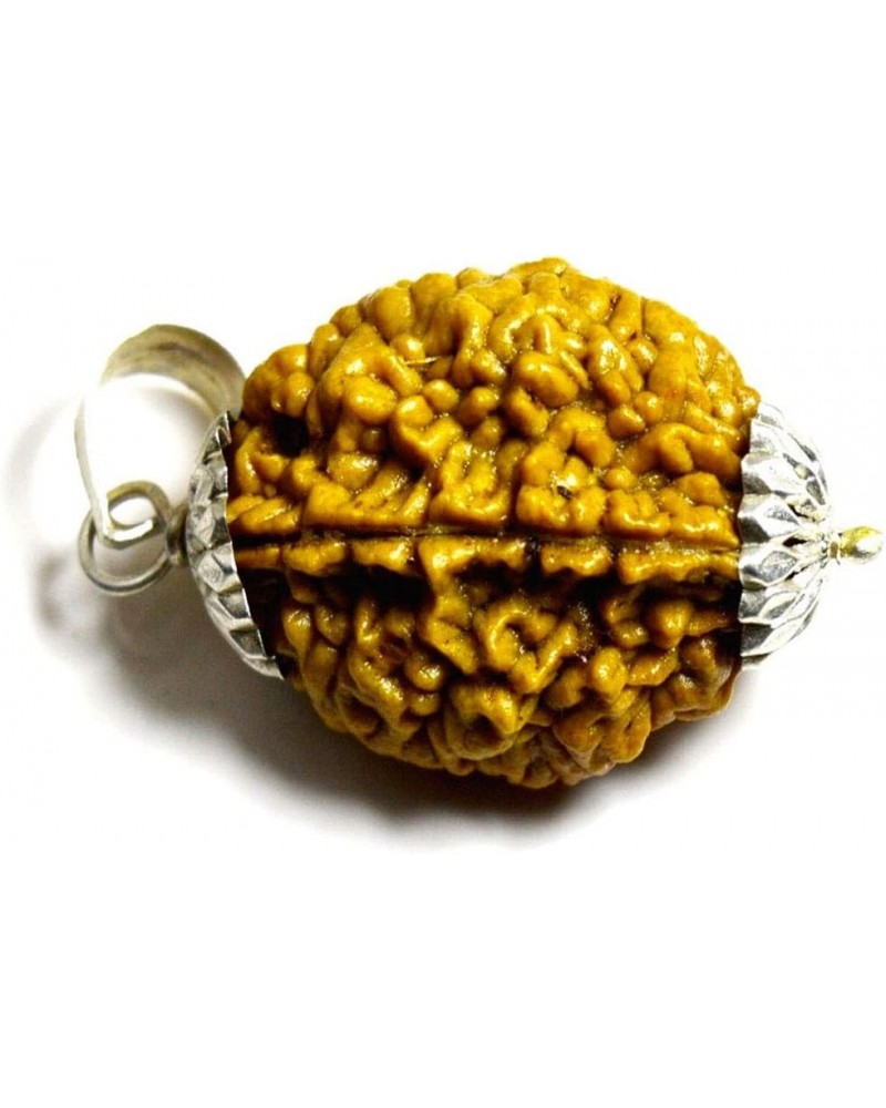 Choose Your Original Lab Certified Nepali Rudraksha 1 to 13 Mukhi Ganesha Gauri Shankar 925 Sterling Silver Pendant Astrology...