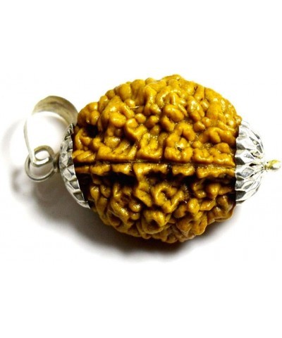 Choose Your Original Lab Certified Nepali Rudraksha 1 to 13 Mukhi Ganesha Gauri Shankar 925 Sterling Silver Pendant Astrology...