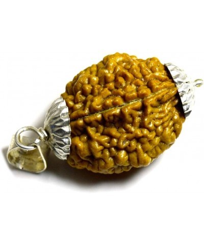 Choose Your Original Lab Certified Nepali Rudraksha 1 to 13 Mukhi Ganesha Gauri Shankar 925 Sterling Silver Pendant Astrology...