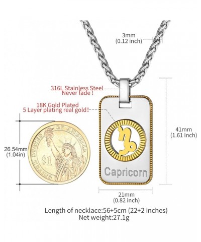 12 Constellation Horoscope Necklace, Stainless Steel/18K Gold Plated Astrology Jewelry Zodiac Dog Tag Pendant Lucky Layered C...