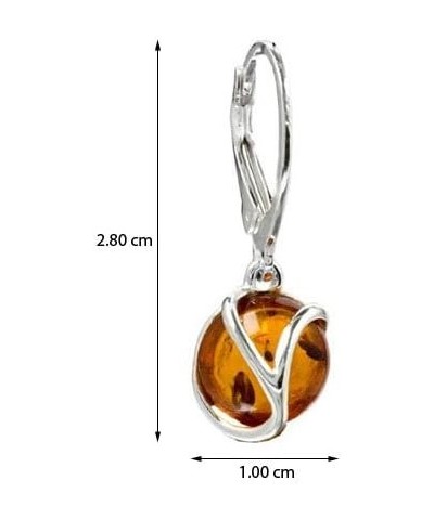 Amber Sterling Silver Round Leverback Earrings $17.70 Earrings