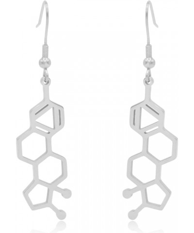 Estrogen Molecule Stainless Steel Dangle Earrings Silver $13.56 Earrings