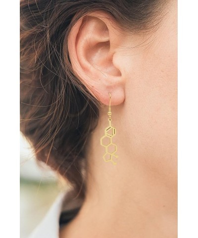 Estrogen Molecule Stainless Steel Dangle Earrings Silver $13.56 Earrings