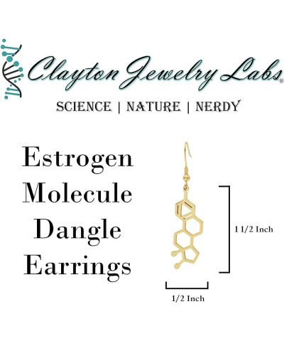 Estrogen Molecule Stainless Steel Dangle Earrings Silver $13.56 Earrings