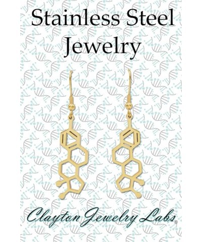 Estrogen Molecule Stainless Steel Dangle Earrings Silver $13.56 Earrings