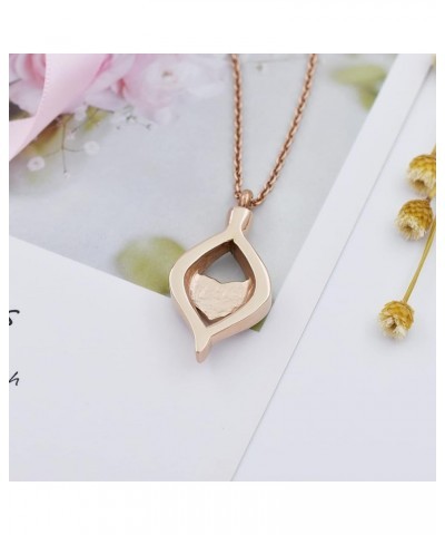 Crystal Teardrop Heart Cremation Urn Pendant Memorial Necklace for Women Stainless Steel Ashes Holder Keepsake Jewelry Rose G...