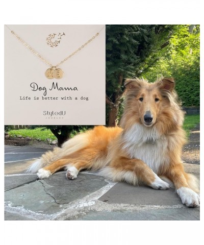 Personalized Dog Paw Necklace for Women, 14k Gold Filled Initial Jewelry for Dog Lovers B $17.98 Necklaces