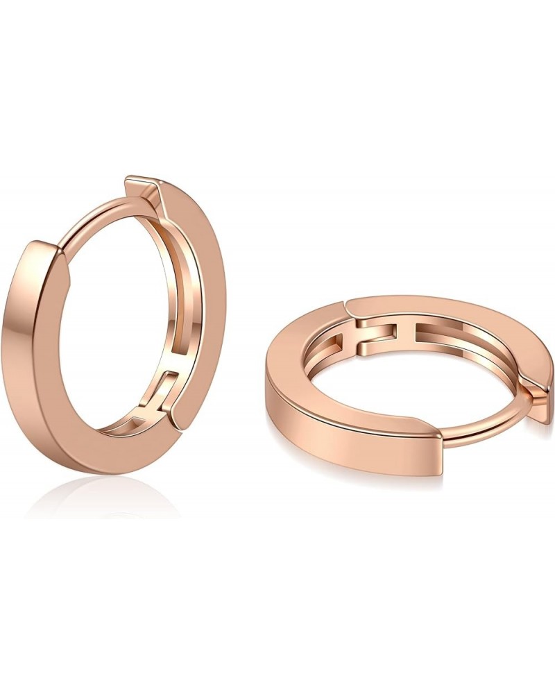 Small Gold Hoop Earrings for Women 14K Gold Plated Huggie Hoop Earrings C Rose Gold 10mm $10.43 Earrings