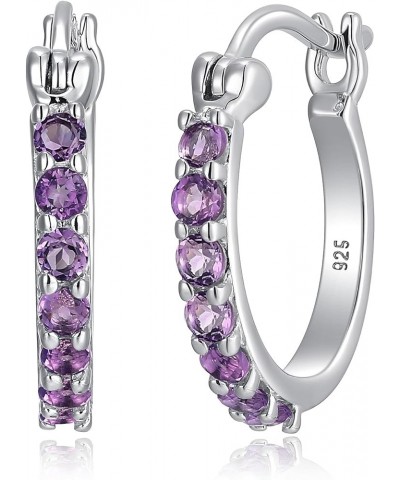 Dainty 925 Sterling Silver Gemstone Birthstone Demi Fine Hoop Earrings Genuine African Amethyst - February Birthstone $26.99 ...