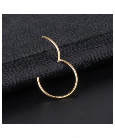 316L Surgical Steel Septum Nose Rings 18G 16G 14G Nose Rings Hoops Hinged Segment Ring Cute Cartilage Helix Earring Nose Pier...