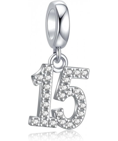 15,16,18,20,25,30,40,50,60 Number Charms Shiny Crystal Birthday Anniversary Celebration Charm fit Pandora Bracelets,Gifts for...