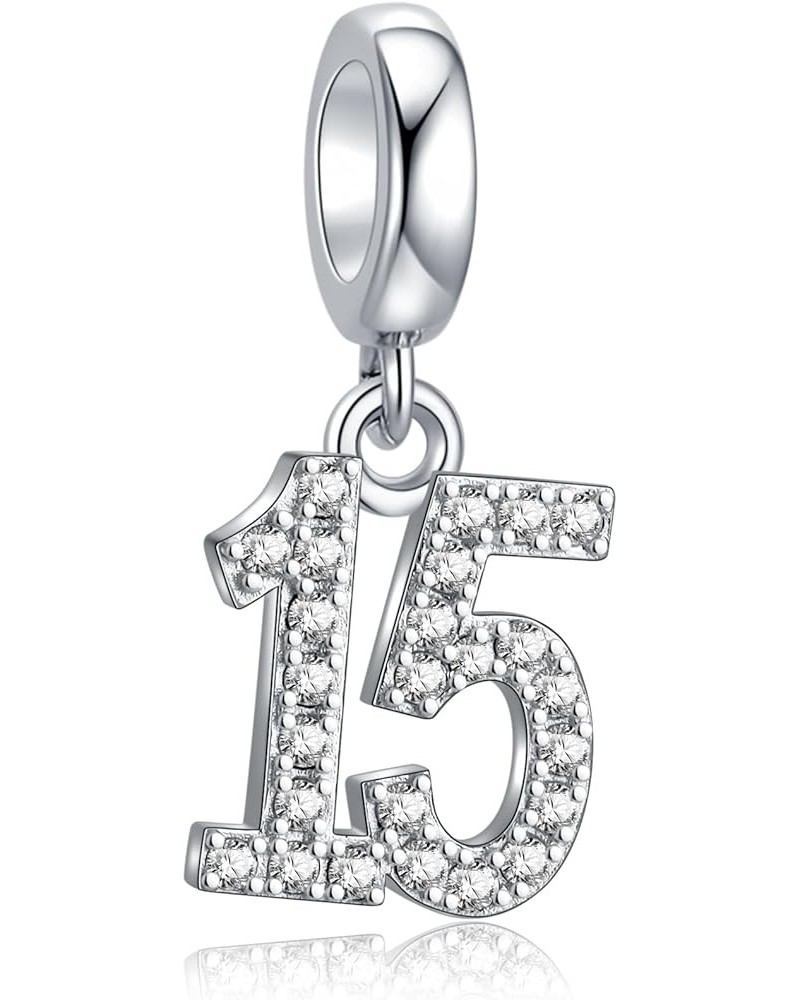 15,16,18,20,25,30,40,50,60 Number Charms Shiny Crystal Birthday Anniversary Celebration Charm fit Pandora Bracelets,Gifts for...