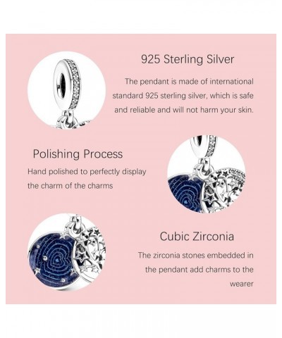 925 Sterling Silver Charms, Charms for Bracelets for Bracelets and Pandora Charms, Heart, snowflake, butterfly and bearCharms...