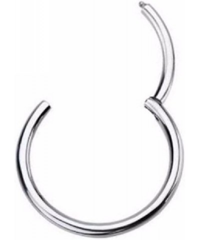 16GA G23 Titanium Septum Cartilage Lip Hinged Segment Ring 8mm (5/16") $9.07 Body Jewelry