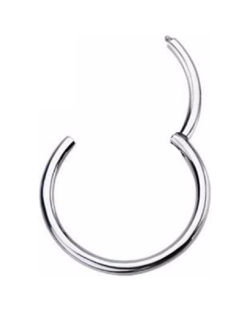 16GA G23 Titanium Septum Cartilage Lip Hinged Segment Ring 8mm (5/16") $9.07 Body Jewelry