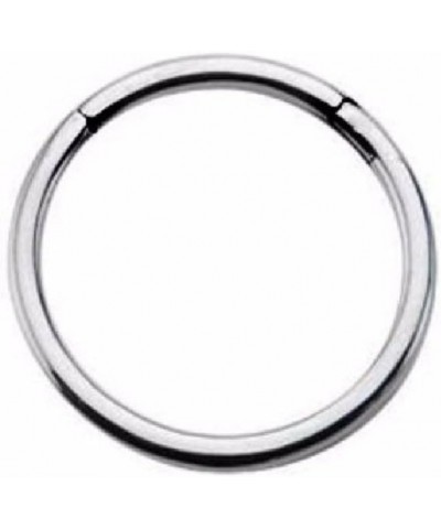 16GA G23 Titanium Septum Cartilage Lip Hinged Segment Ring 8mm (5/16") $9.07 Body Jewelry