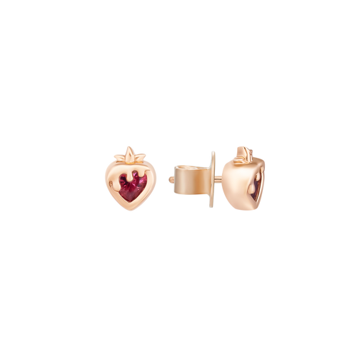 Berry Boo silver earrings with gemstones ZT00X000009