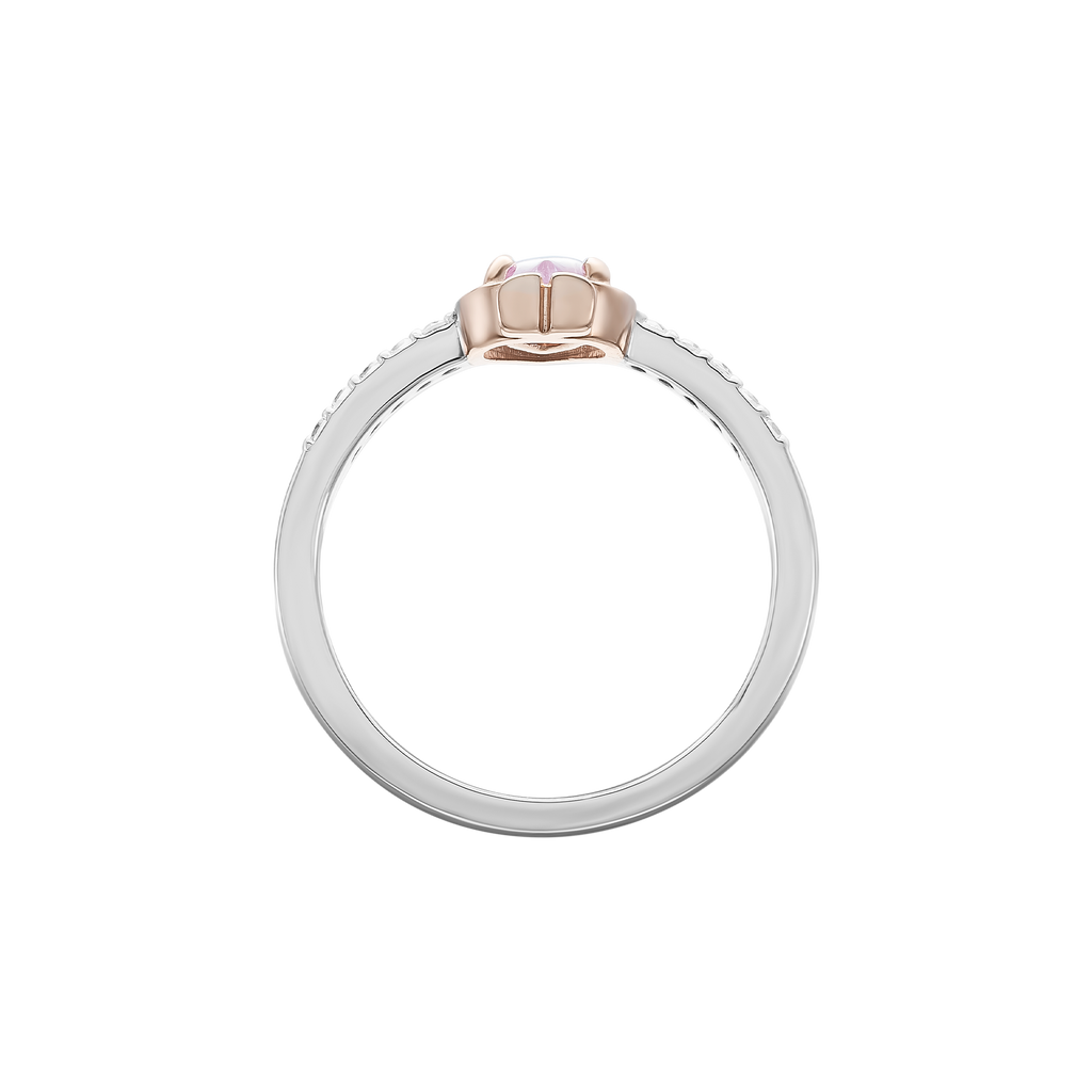 Silver ring with gemstones XMXMH060008